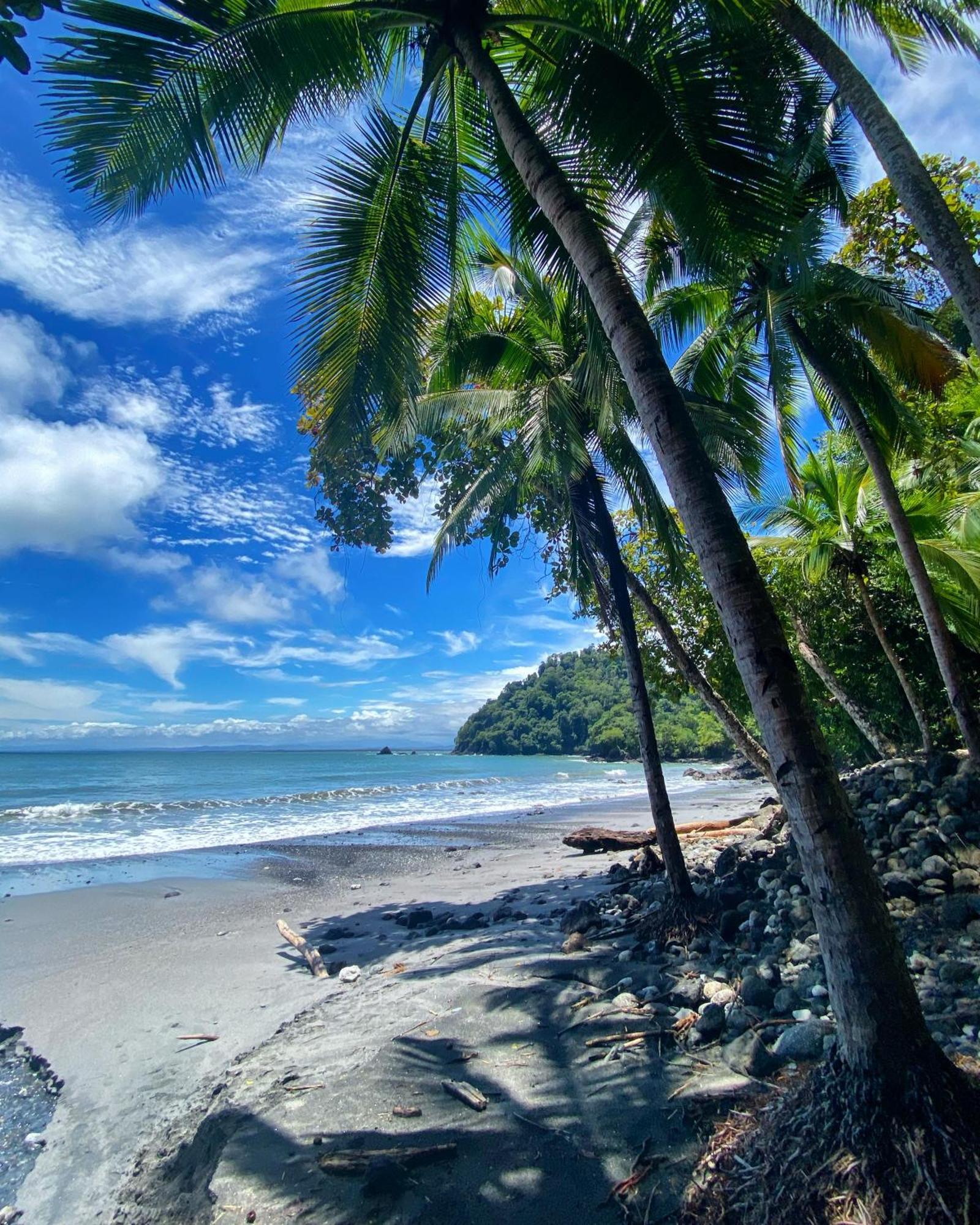 Hotel Makanda By The Sea Adults Only Manuel Antonio